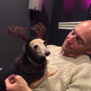 Meet your Posher, Bill